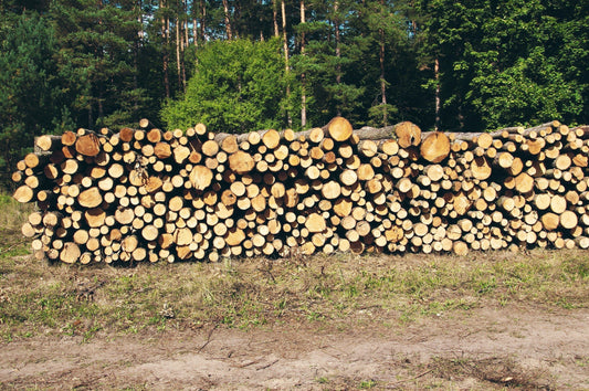 Leña de madera de pino
