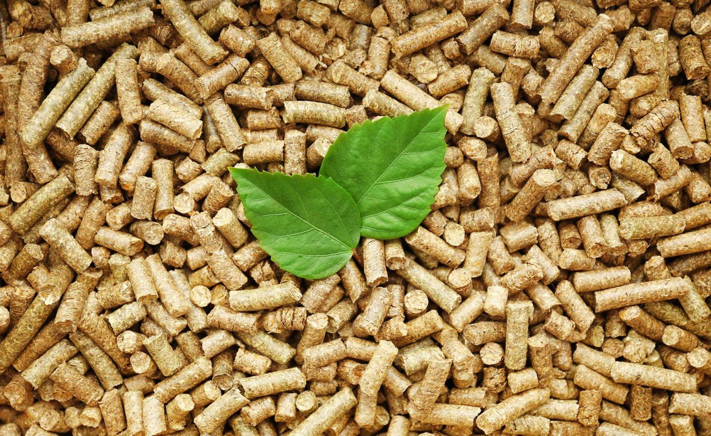 Biomasa o pellet